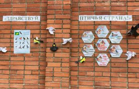 Птичья страна 6